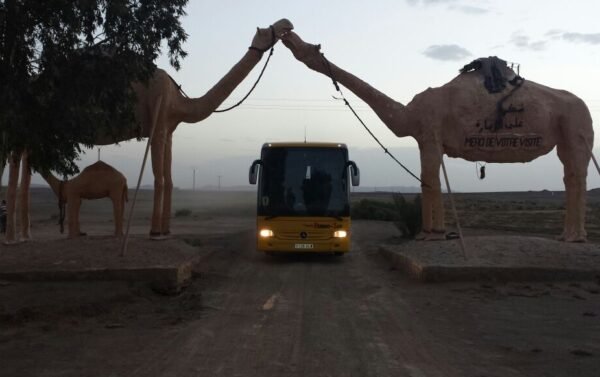 Autobús de excursión